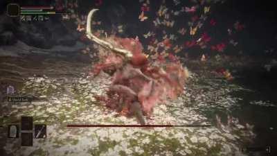 I found a very busted and OP shield build, highly recommended for new players!