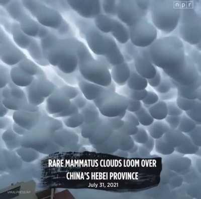 One can just imagine being that lucky….