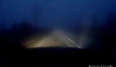 Friend ofmine hit two horses