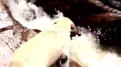 A friend in need is a friend indeed.