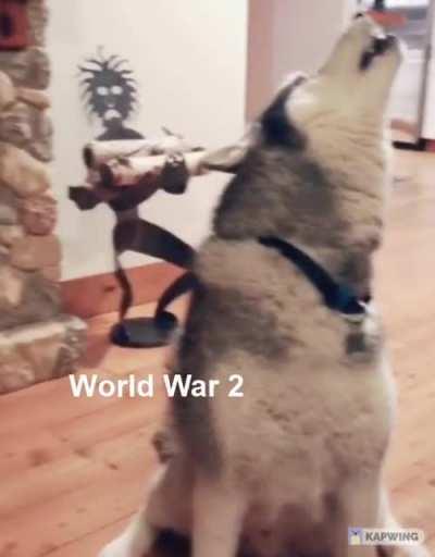 Isn't it great being neutral.