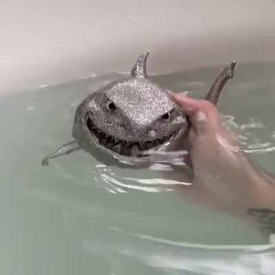 He stopped taking his medication