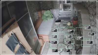 five nights at floppa