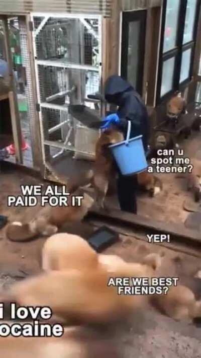 O Ya that's the good stuff