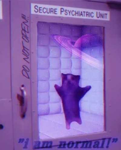 when the intrusive thoughts win