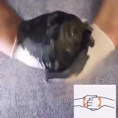 Please make sure you and your loved ones are washing your hands PROPERLY.