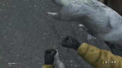 Had to square up with a wolf pack