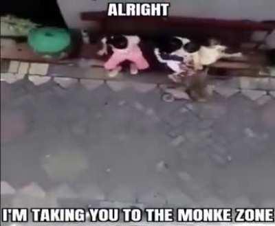 Monke