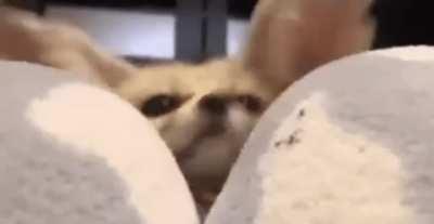 Sending on behalf of drake