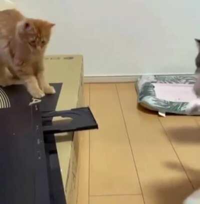 What is that evil thing