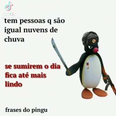 frases do pingu...