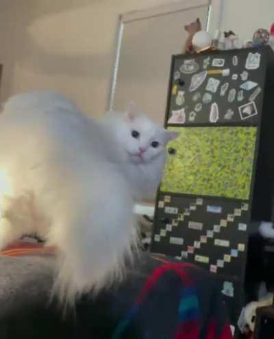 Trouble In Thurston Town