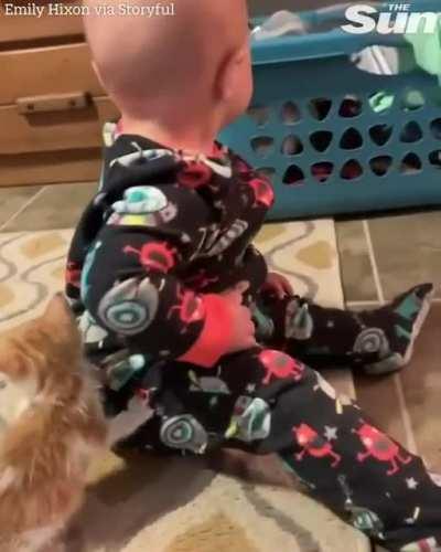 Bonding between babies and cats