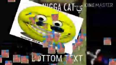 Niga cat