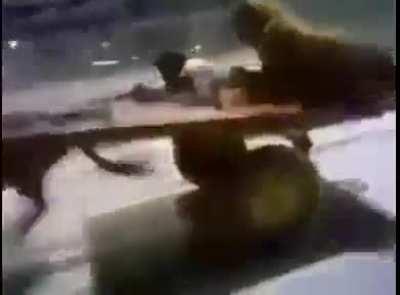 Never give your donkey meth.