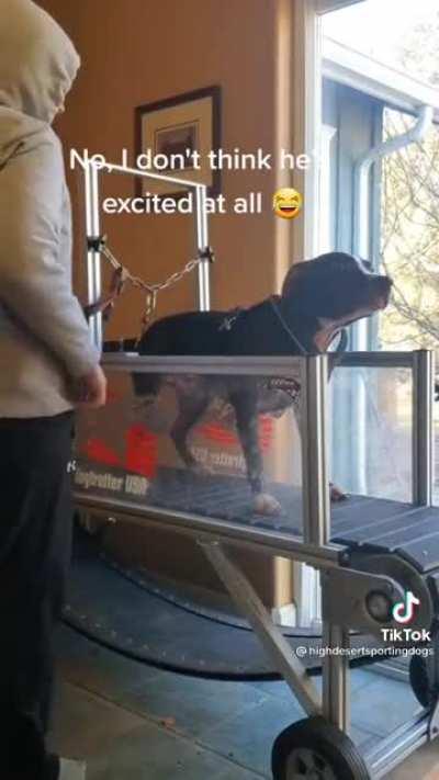 Only a little bit excited