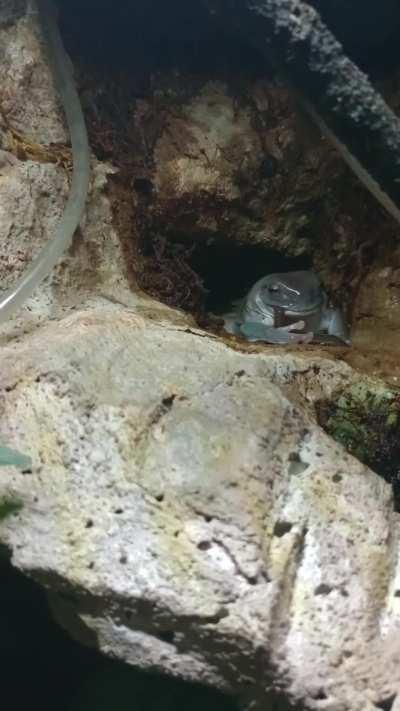 4 an half minutes to eat a worm