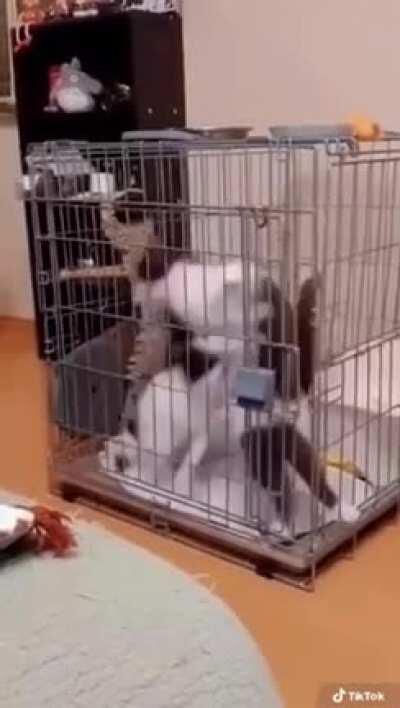 To create a wormhole