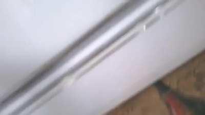 Cooking your dinner when it’s not dead yet