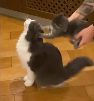 learning to be caring😝