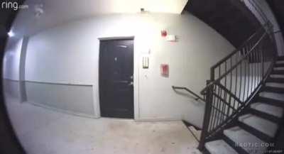 Connecticut Woman Shoots 2 Female Robbers