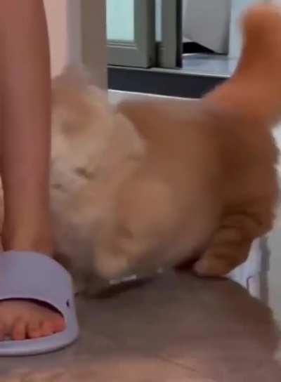 He's just very hungry