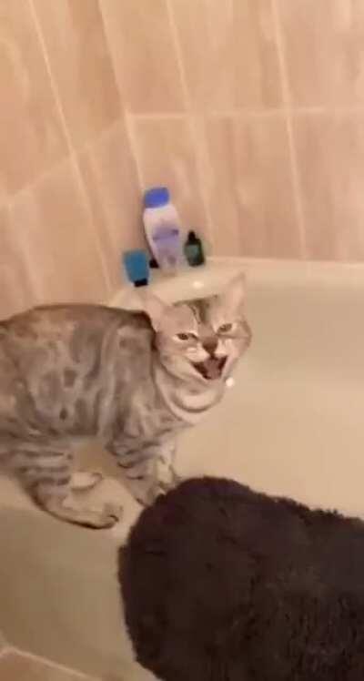 Virou uma competição