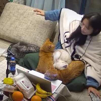 Outnumbered 4 to 1, brave hostage narrowly escapes with her life.