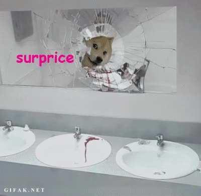 The uncharacteristic canine surprises man