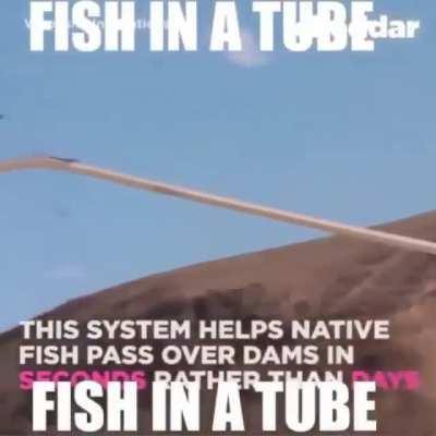 Thought this might belong here