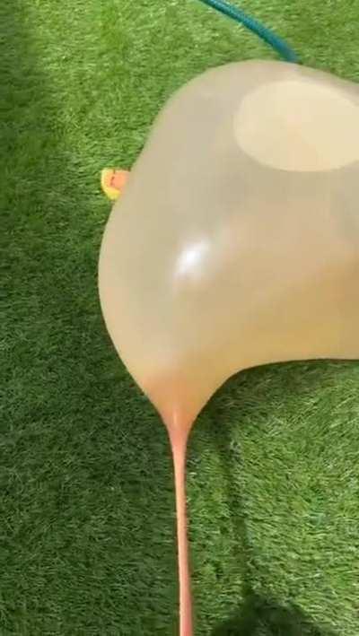 The amount of water that Stretch Armstrong can Hold