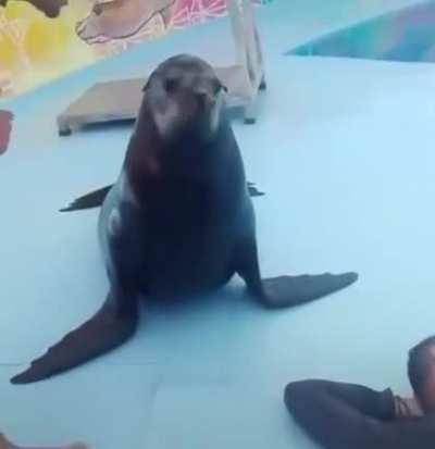 Atenção se vc ver esses meliantes denuncie pra policia