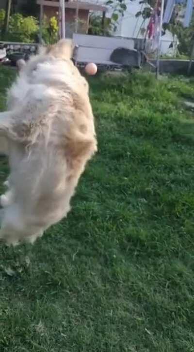 To catch a ball mid-air