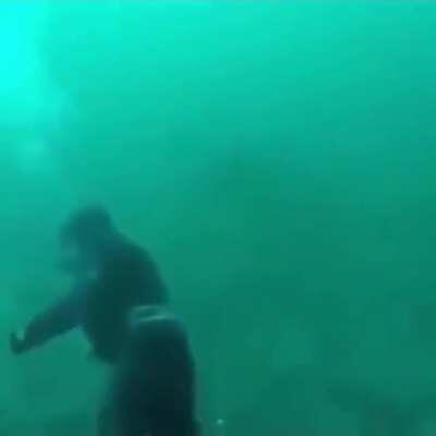 Classic trigger for me