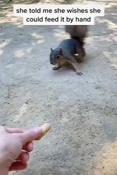 A son and mother caring for a squirrel