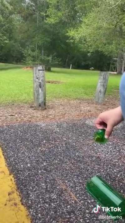 The mouse was needed in the skies.