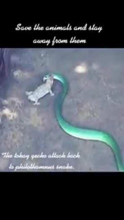 The table has turned