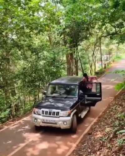 Nothing quite like a cool forest breeze hitting your face on a fine sunny morning