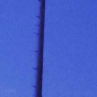 Recorded in Fort Collins, Colorado this morning while I was watching the full moon set👽🌕