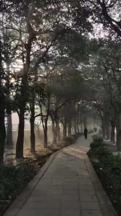 Single clip from the previous video i posted.