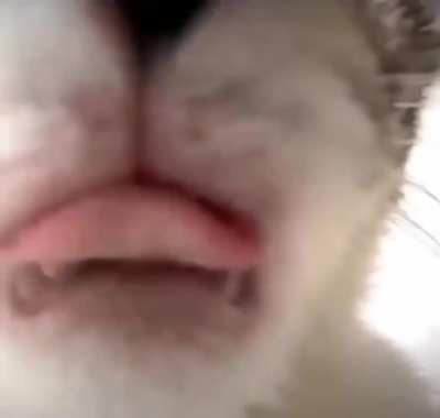 How many of yall have a relationship with your parents 