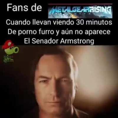 fans de Metal Gear Rising