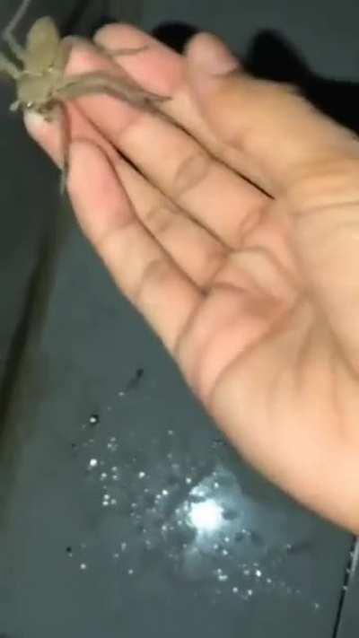 I would rather die😖😖