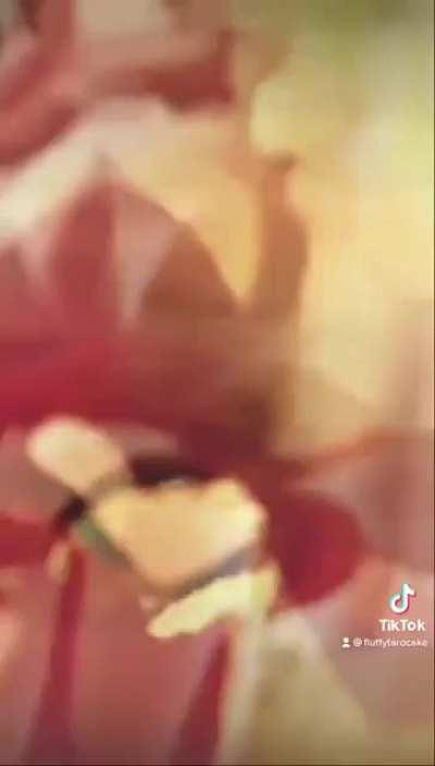 Anyone have any idea when Shuo feng po zhen zi 朔风破阵子 comes out?