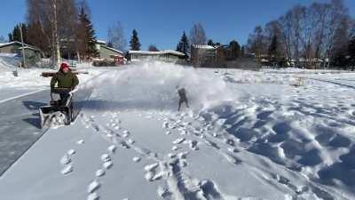 She sits in the house and whines if I don’t bring her out while I’m clearing the snow.