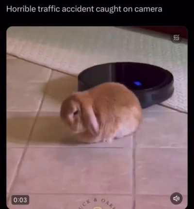 Horrendous Wunkcident