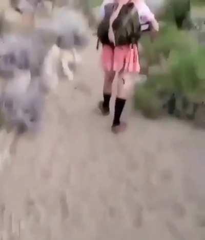 a proud soldier from the slovenian army Maasallah