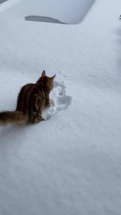 Snow? Nvm, lets take the reverse gear!