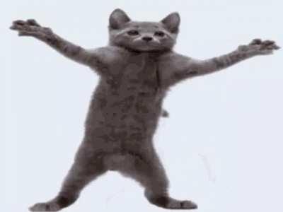 shaka laka boom boom hoye hoyeeee chakk de fattttteee woooo hoooooo