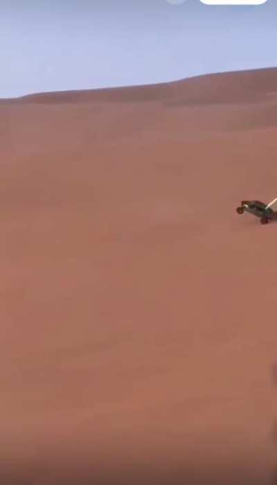 Thus unfolded quickly